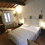 Rent 3 bedroom apartment of 100 m² in Cortona