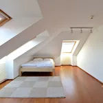 Rent 5 bedroom apartment of 210 m² in Prague