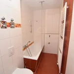 Rent 2 bedroom apartment of 56 m² in Chemnitz