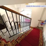 Rent 4 bedroom apartment of 110 m² in Plzeň