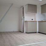 Rent 3 bedroom apartment of 49 m² in Toulouse