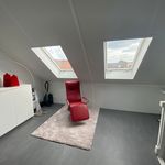 Rent 4 bedroom house of 125 m² in Verspreide huizen Boord, Opwetten