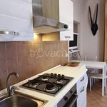 Rent 1 bedroom apartment of 33 m² in Torino