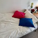 Rent 1 bedroom flat in Coventry