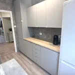 Rent 2 bedroom apartment of 54 m² in Katowice