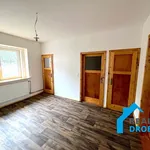 Pronájem bytu 1+1 52m²