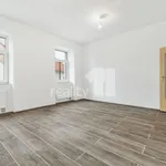 Rent 2 bedroom apartment of 60 m² in Kouřim