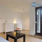 Rent 1 bedroom apartment in Brno