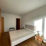 Rent 3 bedroom apartment in Porto