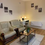 Rent 1 bedroom apartment in dublin