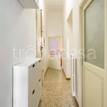 Rent 3 bedroom apartment of 80 m² in Firenze