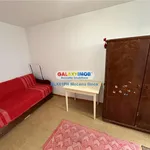 Rent 2 bedroom apartment of 39 m² in Ploiești