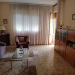 Rent 3 bedroom apartment of 80 m² in Florence