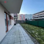 Rent 2 bedroom apartment of 44 m² in Trhový Štěpánov