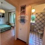 Rent 2 bedroom apartment of 50 m² in Orbetello