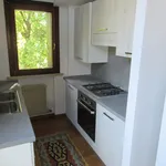 Rent 1 bedroom apartment of 50 m² in Treviso