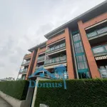 Rent 3 bedroom apartment of 65 m² in Pinerolo