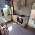 Rent 3 bedroom apartment of 70 m² in Padova