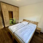 Pronajměte si 2 ložnic/e byt o rozloze 44 m² v Prague