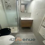 Rent 1 bedroom apartment in Saint-Étienne