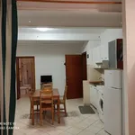 Rent 1 bedroom apartment of 35 m² in Collesalvetti