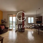 Rent 3 bedroom apartment of 127 m² in Varazze