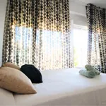 Rent 4 bedroom apartment in Valencia