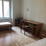 Rent a room of 80 m² in Trento