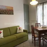 Rent 3 bedroom apartment of 65 m² in Borghetto Santo Spirito