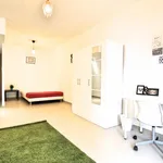 Rent 4 bedroom apartment in Marseille