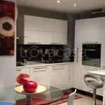 Rent 1 bedroom apartment of 45 m² in Roma