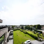 Rent 1 bedroom apartment in Roeselare