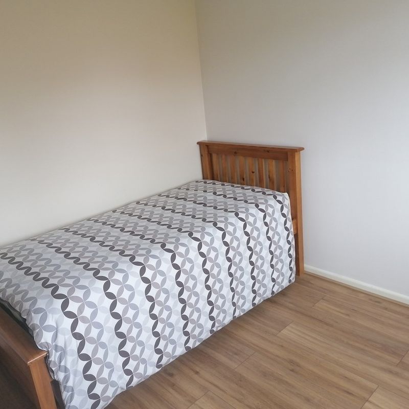 Lovely double bedroom  (Has a House) Thatcham