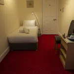 The Knighton Hotel  Single Room (Has an Apartment)