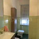 Rent 1 bedroom apartment of 30 m² in Torino