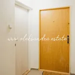 Rent 2 bedroom apartment of 42 m² in Prague