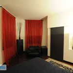 Rent 3 bedroom apartment of 140 m² in Rovigo