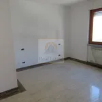 Affitto 3 camera appartamento di 76 m² in Carrara