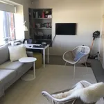 Rent 1 bedroom apartment in Auckland