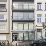 Gezellig gelijkvloers appartement met leuk stadstuintje.