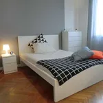 Rent a room in padua