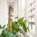 Rent 8 bedroom apartment in Barcelona