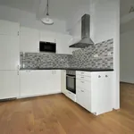 Rent 1 bedroom apartment of 55 m² in Capital City of Prague