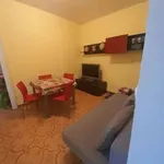 Rent 2 bedroom apartment of 50 m² in Turin