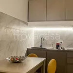 Rent 1 bedroom apartment of 39 m² in Milano