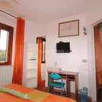 Rent 3 bedroom apartment of 60 m² in Livorno