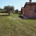 Rent 2 bedroom apartment of 50 m² in Campagnano di Roma