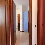 Rent 3 bedroom apartment of 49 m² in Novara