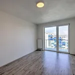 Pronajměte si 2 ložnic/e byt o rozloze 51 m² v Pilsen