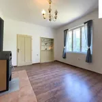 Rent 1 bedroom house in Chrudim